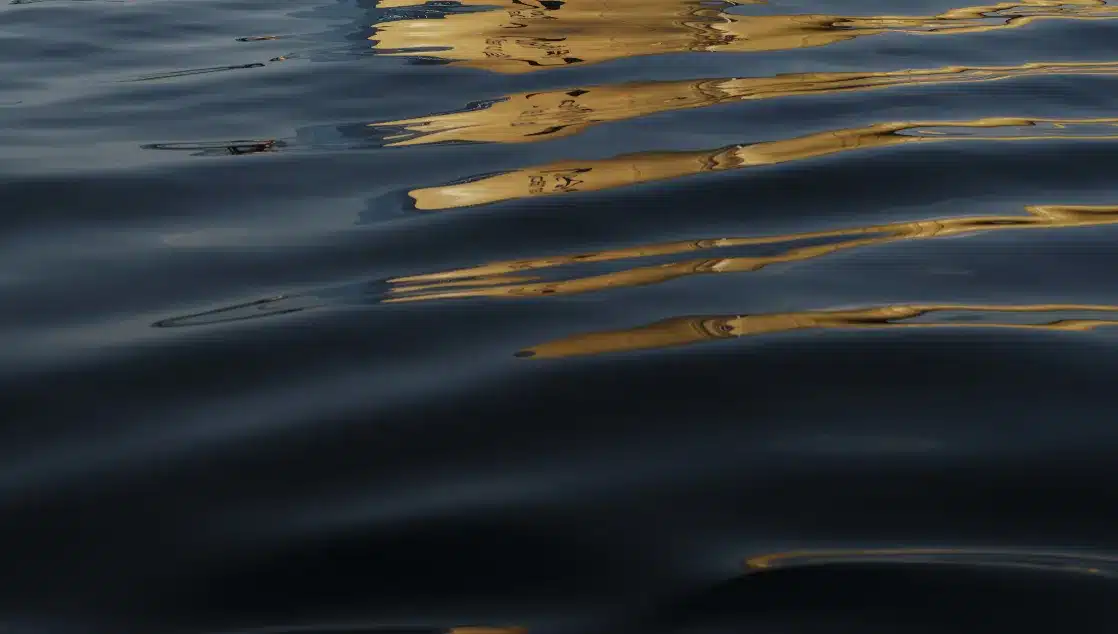 Reflection of CorPower Ocean's wave energy converter on the ocean's surface.