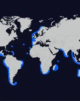 CorPower Ocean valmistautuu aallokkoenergian kaupalliseen laajentamiseen