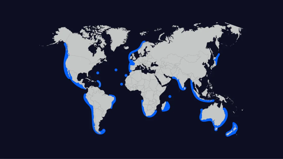 CorPower Ocean – Market Outlook Commercial scaleup